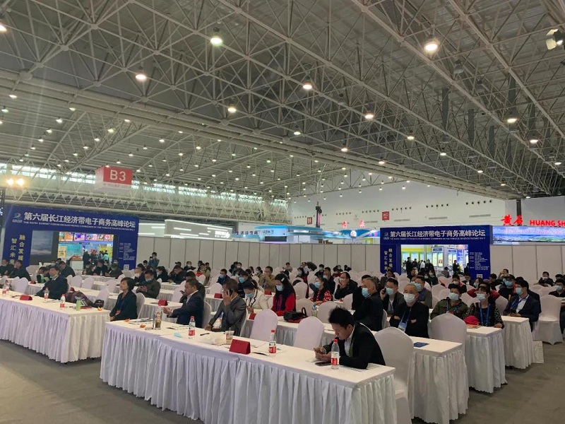 【头条】第六届武汉国际电博会压轴电商峰会圆满举办！