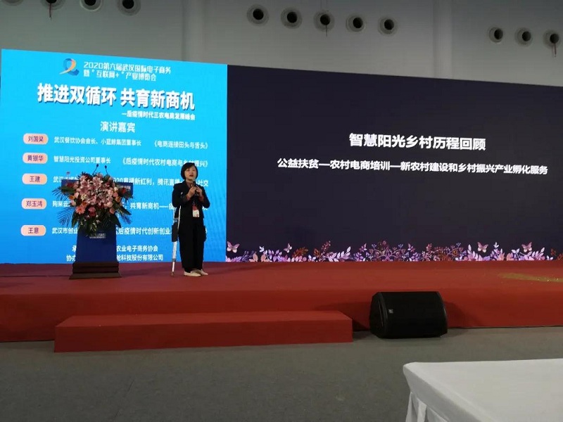 【头条】第六届武汉国际电博会压轴电商峰会圆满举办！