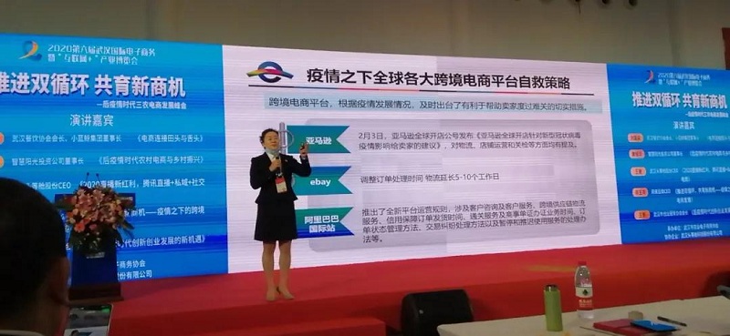 【头条】第六届武汉国际电博会压轴电商峰会圆满举办！