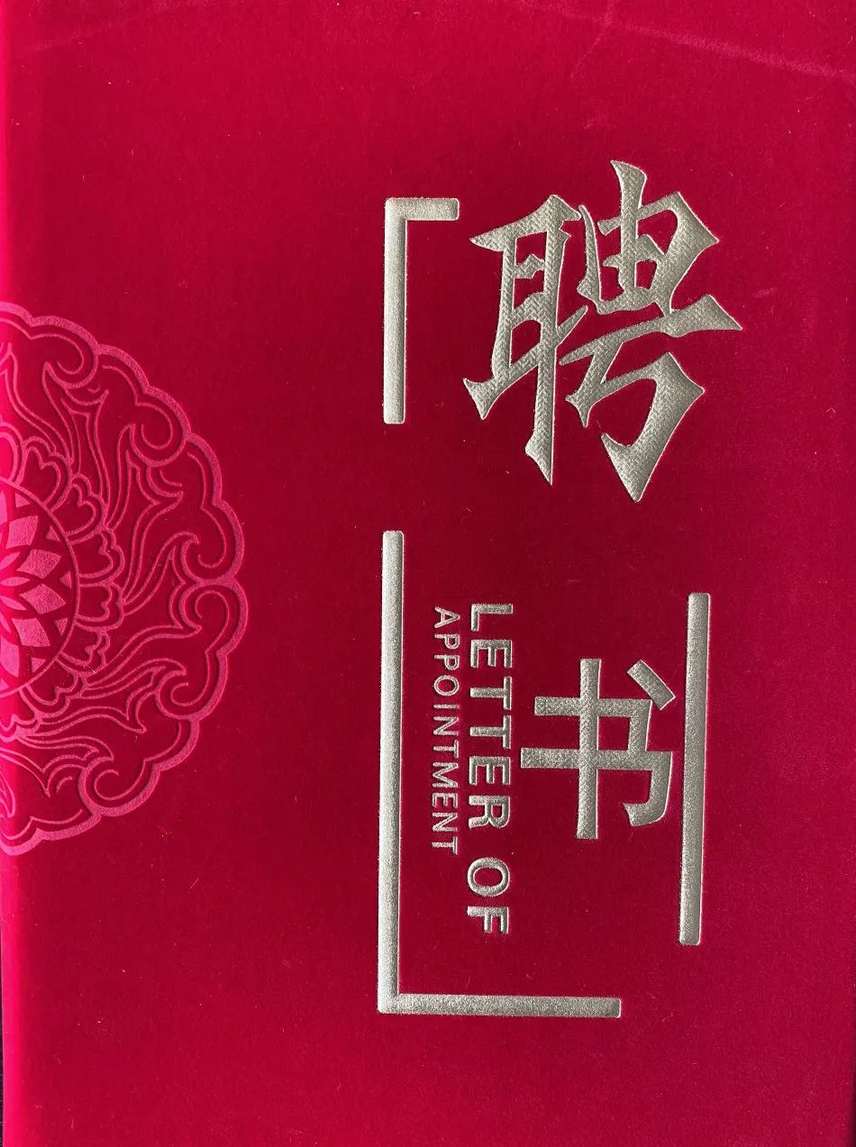 喜报丨热烈祝贺头等舱董事长任杭被特聘为洪山区营商环境监督员！