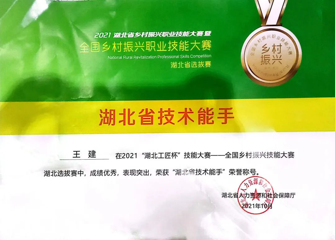 喜报丨热烈祝贺头等舱CEO王建荣获“湖北省技术能手”荣誉称号！