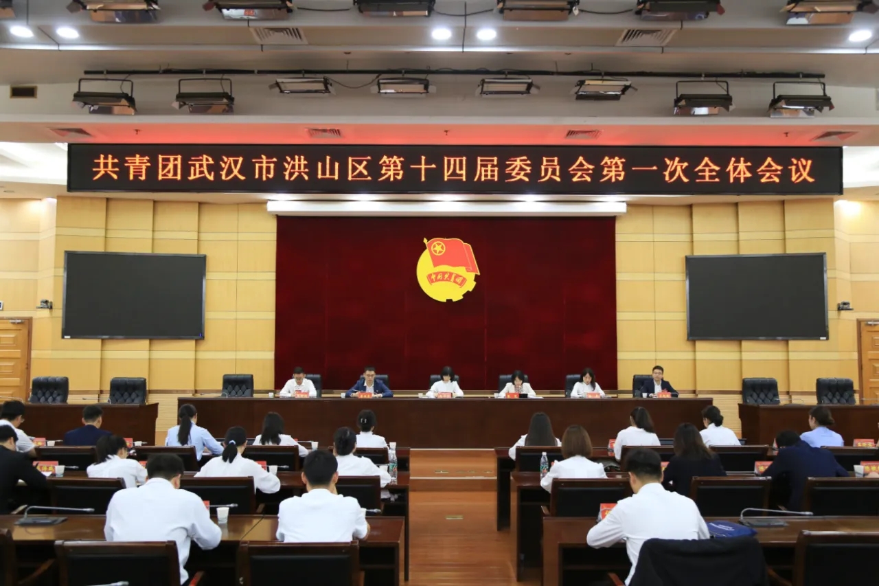 喜讯｜头等舱创始人任杭当选共青团武汉市洪山区第十四届委员会常委
